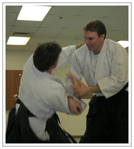 Aikido Techniques